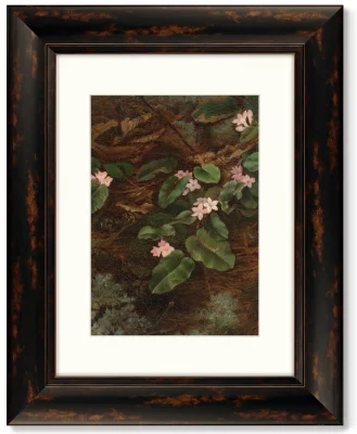 Диптих Trailing Arbutus 41X51 / 41X51 CM 3