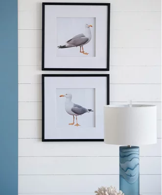 Набор из двух постеров Seagulls 56X56 CM 4