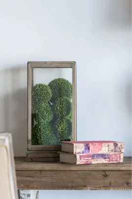 Декоративные шары из самшита, набор 3 предмета 32X13X13 CM 5