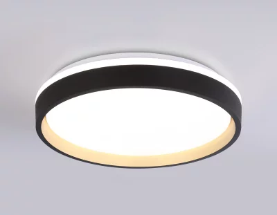 Накладной светильник Ambrella Light FZ604 13