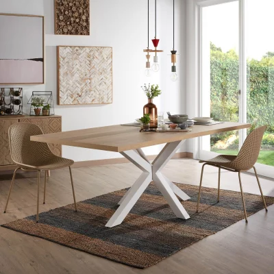 Стол из ДСП и HPL пластика New Argo 160X100X78 CM 5