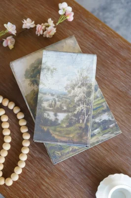 Набор из двух шкатулок в виде книг Bedivere 18X7X27 / 13X5X22 CM 12