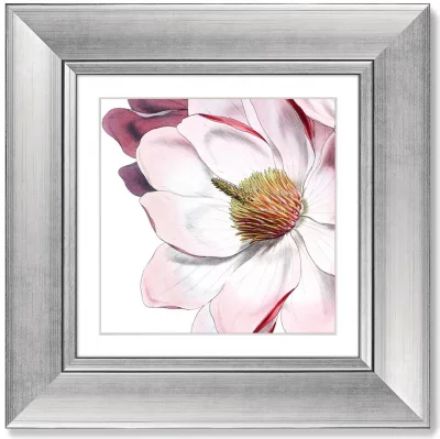 Четыре постера Himalaya Plants Pink-Flower 36X36 / 36X36 / 36X36 / 36X36 CM 5