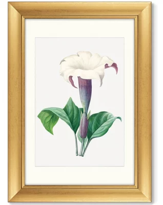Диптих Antique plants drawn 51X71 / 51X71 CM 4