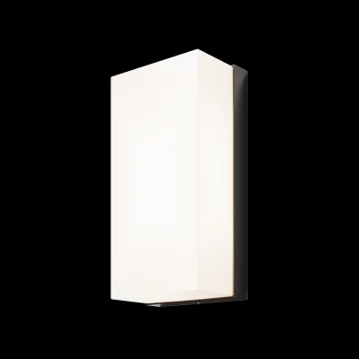 Уличный настенный светильник Бадд 20X10X7 CM 6