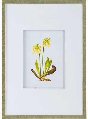 Комплект из 4 постеров Flora 50X70 / 50X70 / 50X70 / 50X70 CM 5