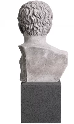 Статуя Bust Roman Imperial 19X15X49 CM 5