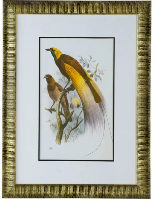 Диптих Birds of Paradise 60X80 / 60X80 CM 4