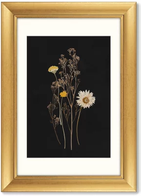 Триптих Flower herbarium No1 51X71 / 51X71 / 51X71 CM 3