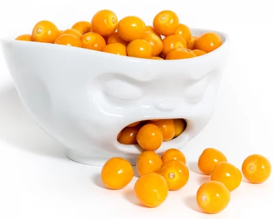 Чаша Barfing 1 L 10
