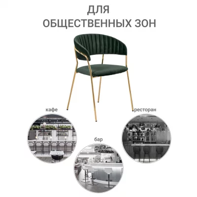 Комплект из 2 стульев Turin зеленый, золотые ножки 56X50X78X48 CM 12