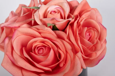 Диффузор Five Rose Peach 18X18X16 CM 4