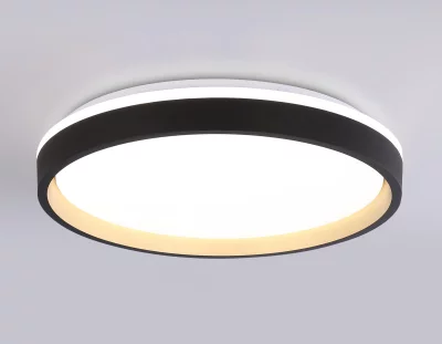 Накладной светильник Ambrella Light FZ610 13