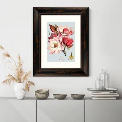 Постер Himalaya Plants Pink Flower 41X51 CM 3