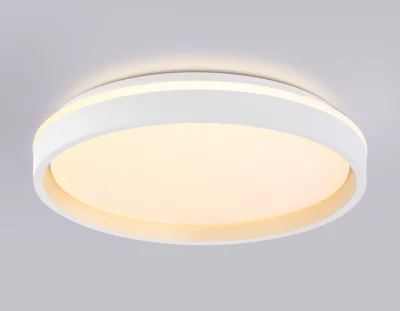 Накладной светильник Ambrella Light FZ607 14