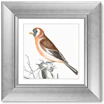 Диптих Goldfinches 36X36 / 36X36 CM 4
