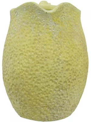 Декоративный кувшин Лимон 25X19X25 CM 5