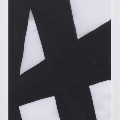 Диптих Allan Stevens 57X127 / 57X127 CM 5