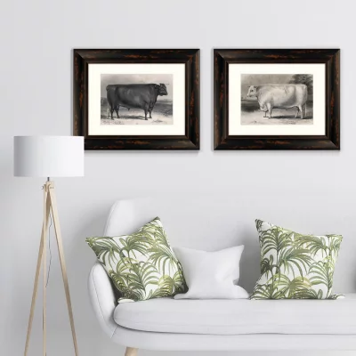Диптих A Devon bull 51X41 / 51X41 CM 5