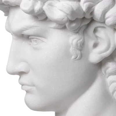 Декоративный объект Head David 42X27X66 CM 7
