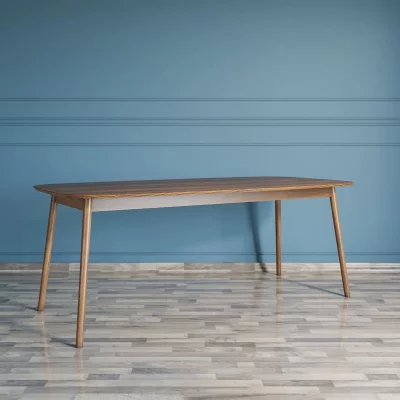 Обеденный стол Bruni 200X100X75 CM 3