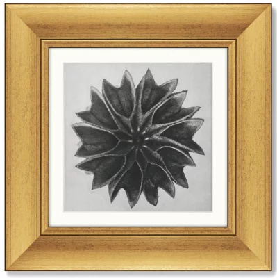 Набор постеров Lime Mallow 36X36 / 36X36 / 36X36 / 36X36 CM 5