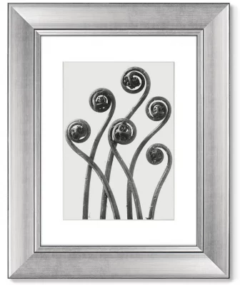 Диптих Compass Plant 41X51 / 41X51 CM 3