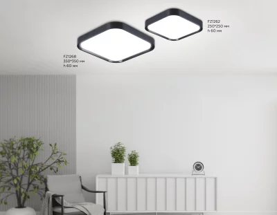 Накладной светильник Ambrella Light FZ1268 8
