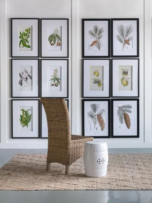 Комплект из двух постеров Flora 50X70 / 50X70 CM 7