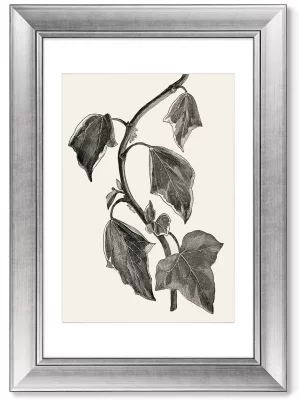 Диптих Pustulata from The Ivy 51X71 / 51X71 CM 3