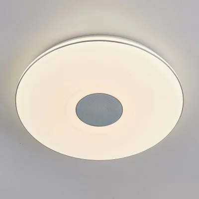 Накладной светильник Light & Music 13