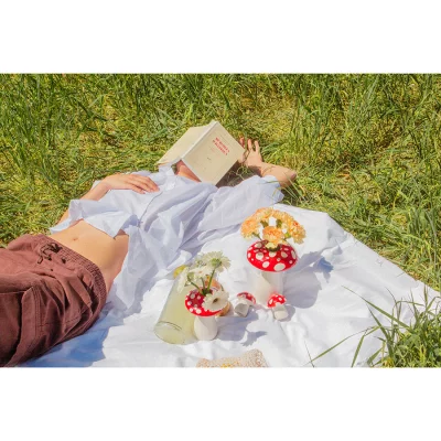 Ваза для цветов amanita, 15 см 6