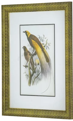 Диптих Birds of Paradise 60X80 / 60X80 CM 3