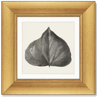 Набор из 4-х картин The Ivy leaves 36X36 / 36X36 / 36X36 / 36X36 CM 6