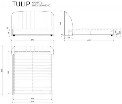 Кровать Tulip 232X200X120 CM 5