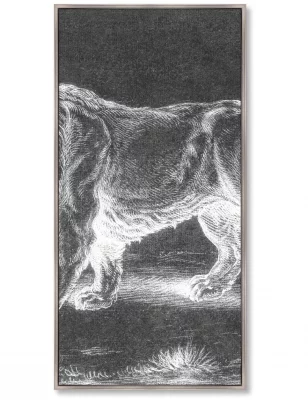 Репродукци из 3-х частей Lion 52X105 / 52X105 / 52X105 CM 4