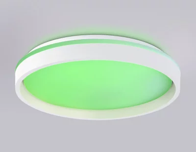 Накладной светильник Ambrella Light FZ607 16
