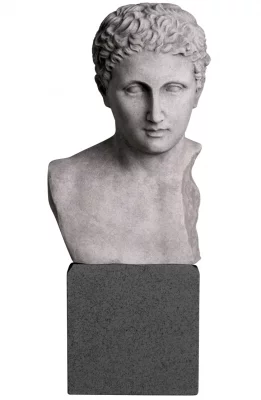 Статуя Bust Roman Imperial 19X15X49 CM 3
