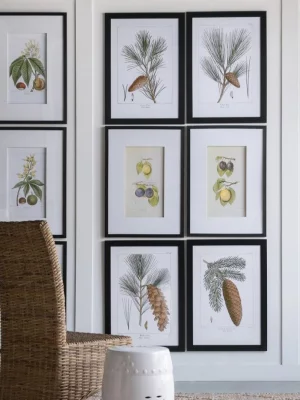 Комплект из двух постеров Flora 50X70 / 50X70 CM 8