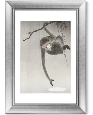 Диптих Monkey in cockatoo 51X71 / 51X71 CM 3