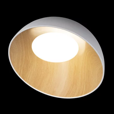 Накладной светильник Egg 4