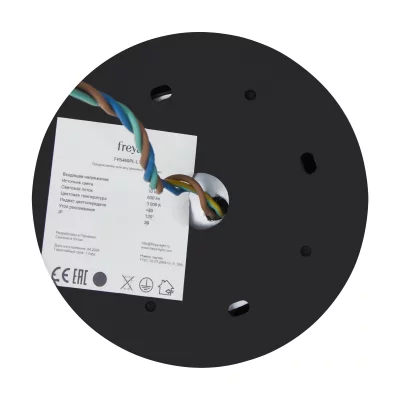 Подвесной светильник Beam FR5469PL-L10B 7