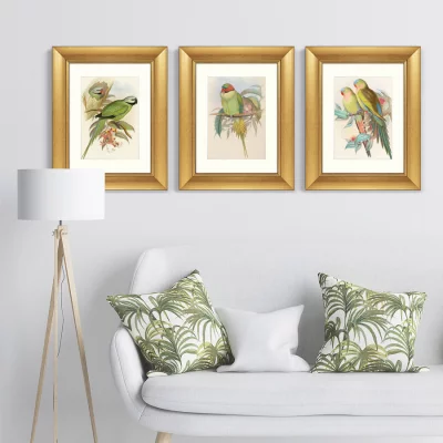 Постер Bonaparte's Parakeet 41X51 CM 7