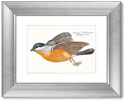 Диптих Gray Fluff Tits 51X41 / 51X41 CM 4