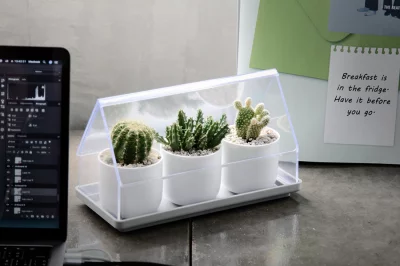 Лоток для выращивания растений Micro green house 24X11X14 CM 7