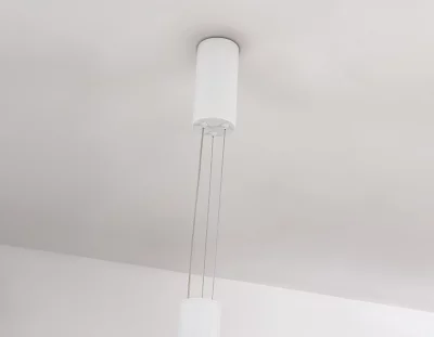 Подвесной светильник Ambrella Light FL5844 5