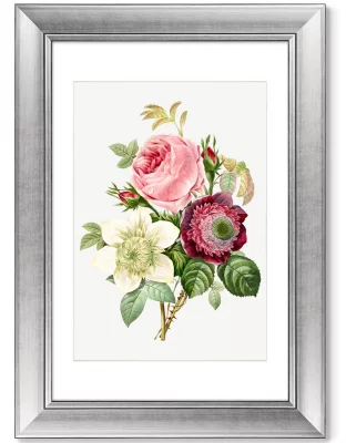 Диптих Antique plants drawn 51X71 / 51X71 CM 4