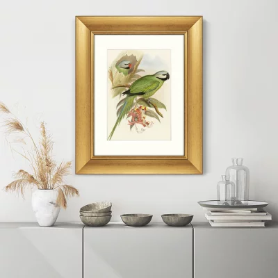 Постер Love parrots 41X51 CM 3