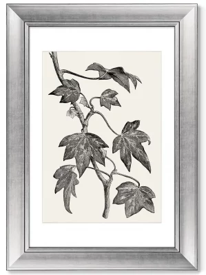 Диптих Pustulata from The Ivy 51X71 / 51X71 CM 4