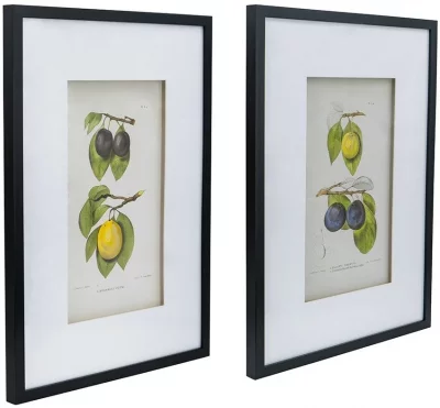 Комплект из двух постеров Flora 50X70 / 50X70 CM 11
